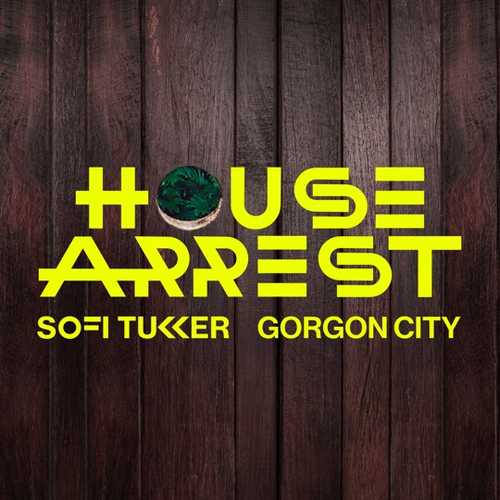 Песня Sofi Tukker - House Arrest (feat. Gorgon City)