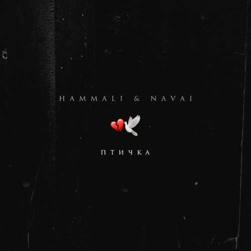 Песня HammAli - Птичка (feat. Navai)