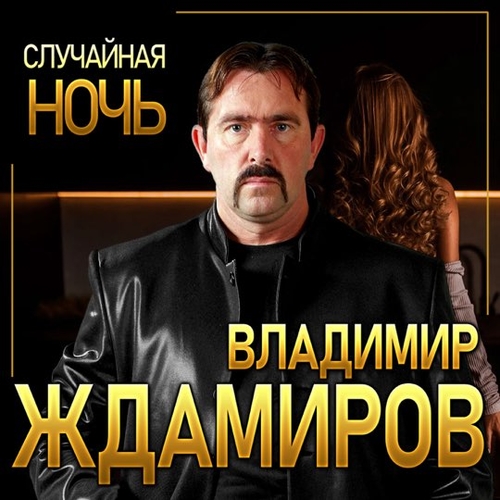 Песня Владимир Ждамиров - Случайная Ночь