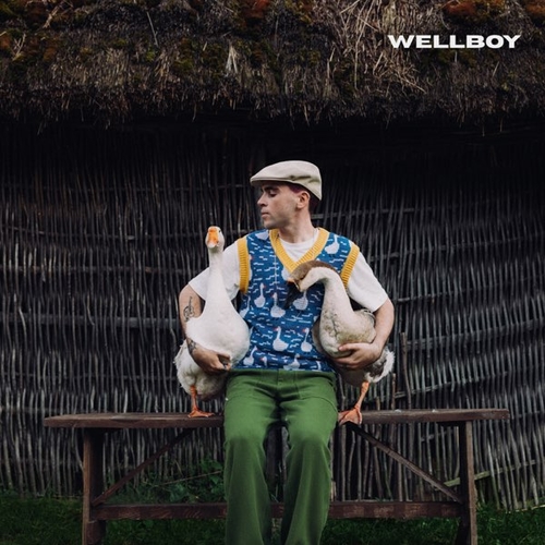 Песня Wellboy - Гуси