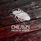 Песня Смелыч - Никак Не Живём