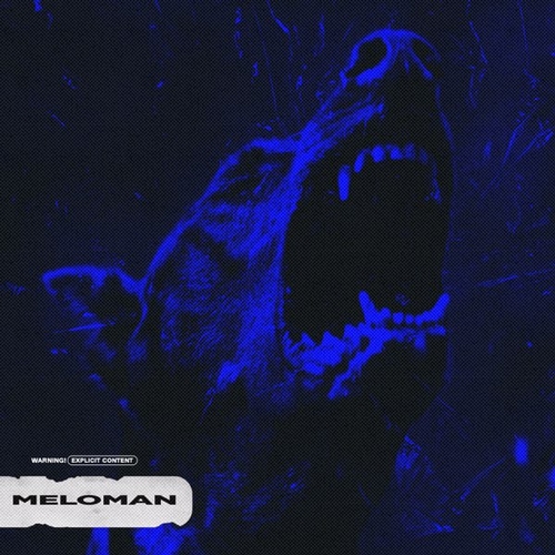 Песня Бодя Мир642 - Meloman (feat. Dewensoon)