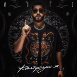 MriD от Кайфую Я