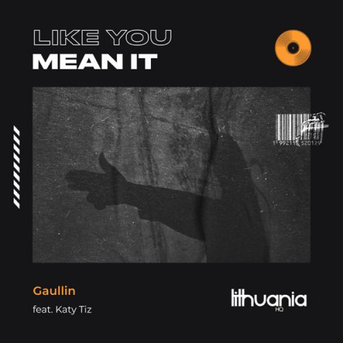 Песня Gaullin - Like You Mean It (feat. Katy Tiz)