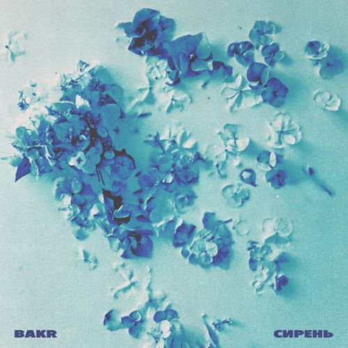 Песня Bakr - Сирень