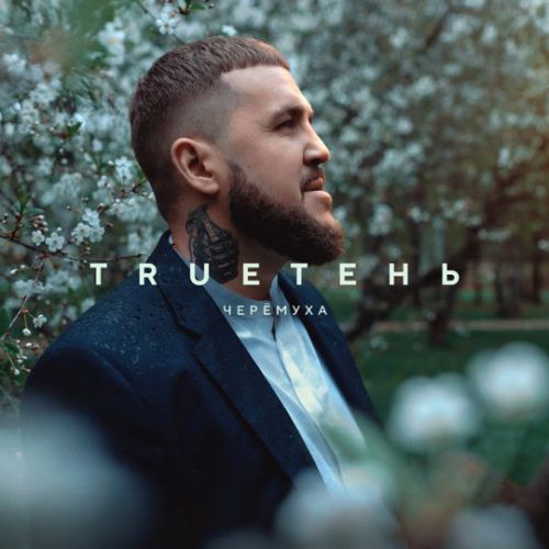 Песня Trueтень - Черёмуха