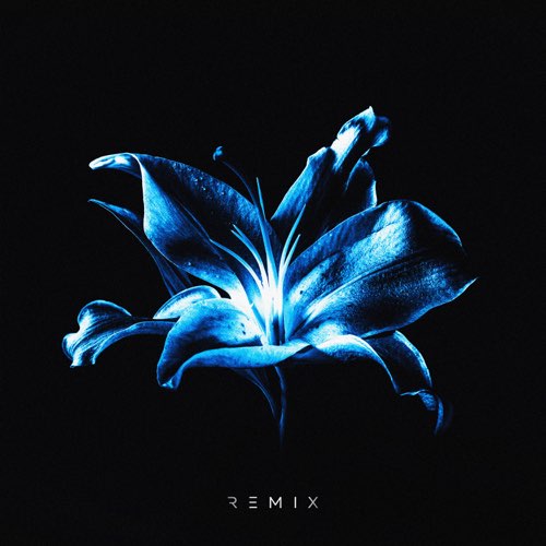 Песня Рум & Рам - Лилии (Glazur & Xm Remix)