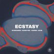 Песня Rompasso - Ecstasy (feat. Rasster & Yasmin Jane)