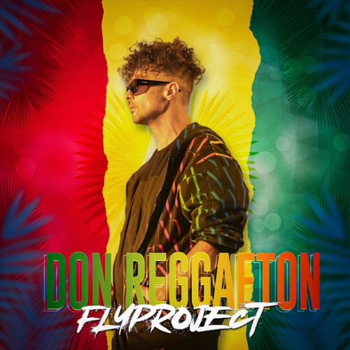 Песня Fly Project - Don Reggaeton