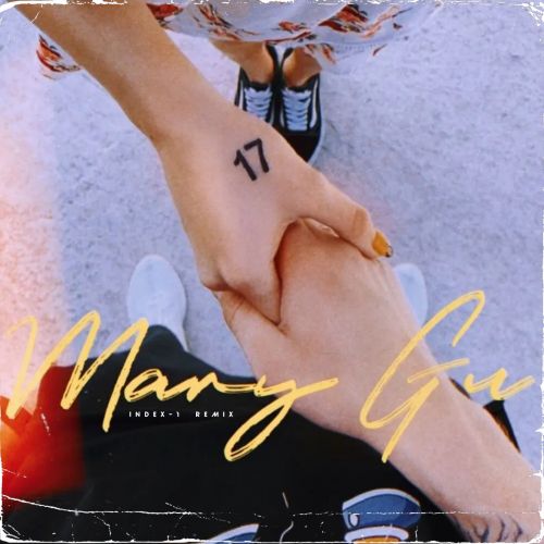 Песня Mary Gu - 17 (Index-1 Remix)