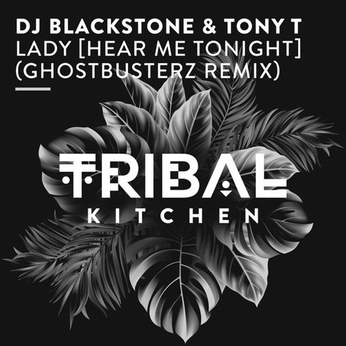Песня DJ Blackstone & Tony T - Lady (Hear Me Tonight) (Ghostbusterz Remix)