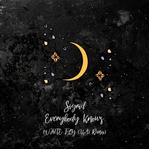 Песня Сигрид - Everybody Knows (White Fly (UA) Remix)