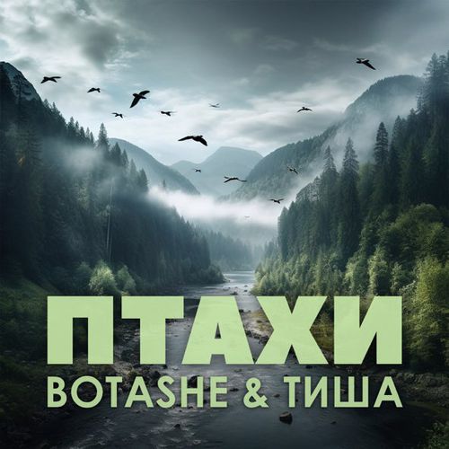 Песня Botashe - Птахи (feat. Тиша)