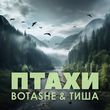 Песня Botashe - Птахи (feat. Тиша)