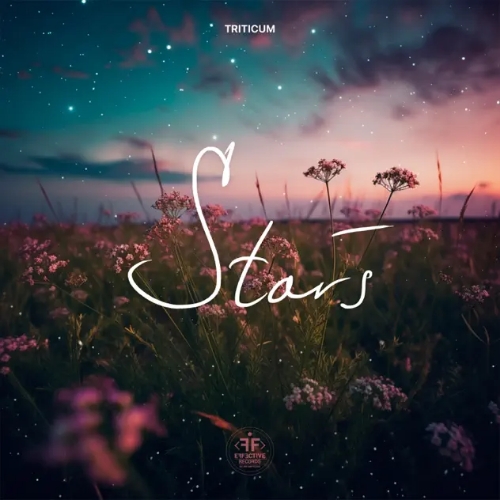 Песня Triticum - Stars (Original Mix)