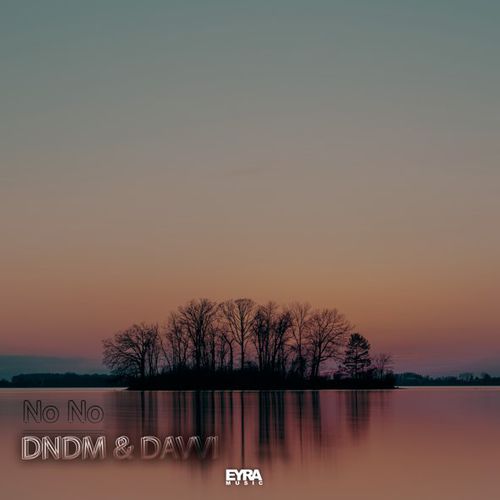 Песня DNDM - No No (feat. Davvi)