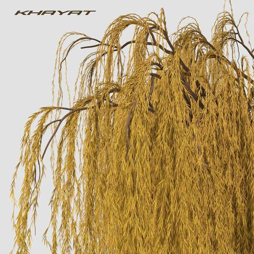 Песня Khayat - В Кінці Греблі Шумлять Верби