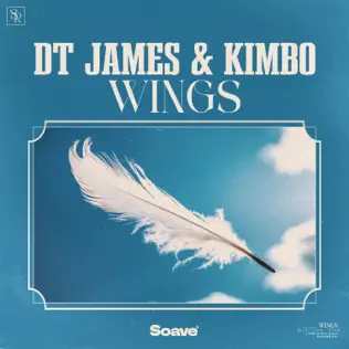 Песня DT James - Wings (feat. Kimbo)