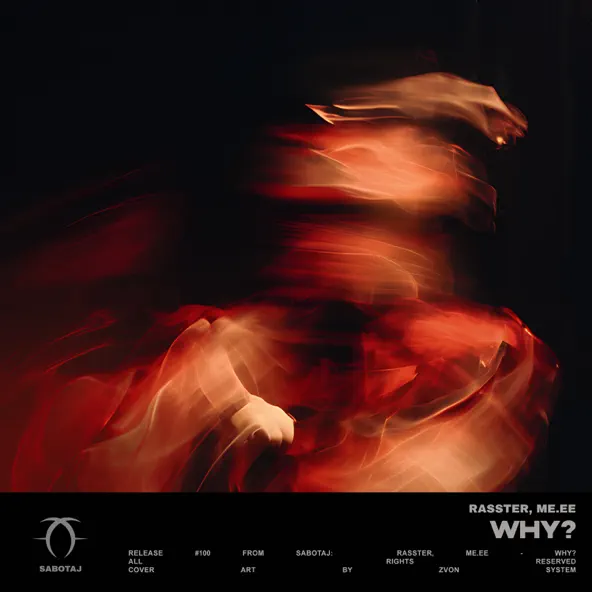 Песня Rasster - Why? (feat. Me.ee)