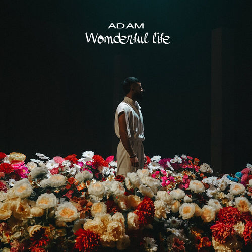 Песня Adam - Wonderful Life