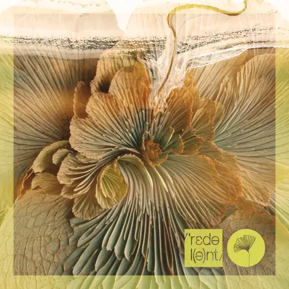 Песня Sounds Of Rituals & Davina Leone - The Moments (Original Mix)