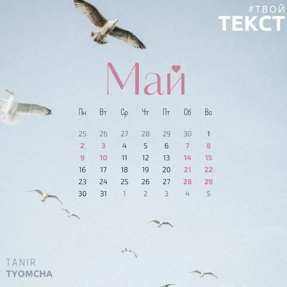 Песня Tanir - Май (feat. Tyomcha)