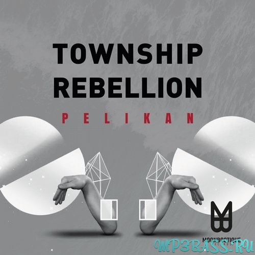 Township Rebellion от Pelikan (Original Mix)