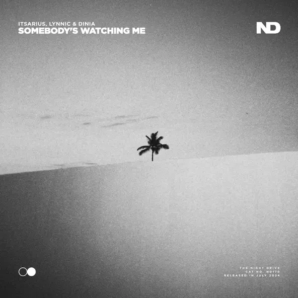 Песня Itsarius & Lynnic feat. Dinia - Somebody's Watching Me (Extended Mix)