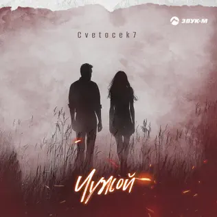 Песня Cvetocek7 - Чужой
