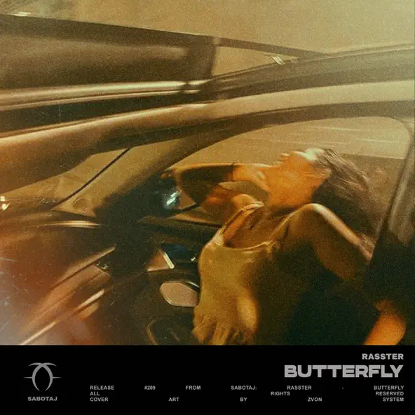Песня Rasster - Butterfly
