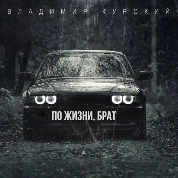 Песня Владимир Курский - По Жизни Брат