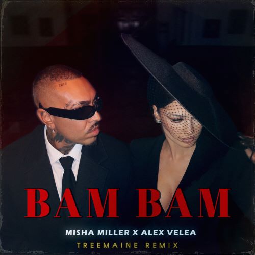 Песня Misha Miller & Alex Velea - Bam Bam (Treemaine Remix)