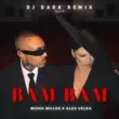 Песня Misha Miller & Alex Velea‬ - Bam Bam (DJ Dark Remix)