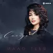 Песня Салида - Мало Тебя