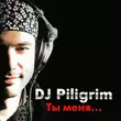 Песня DJ Piligrim - Ты Меня Забудь (DJ Moyshe Afro Mix)