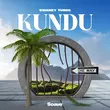 Песня Swanky Tunes - Kundu