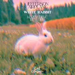 Песня Jefferson Airplane - White Rabbit (Kerem Genc Rework)