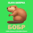 Песня Slava Skripka - Бобр (Vadim Adamov & Hardphol Remix)