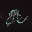 Песня Wennink - Wolf In My Clothes (Rinzen Remix)