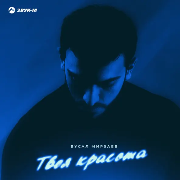 Песня Вусал Мирзаев - Твоя Красота