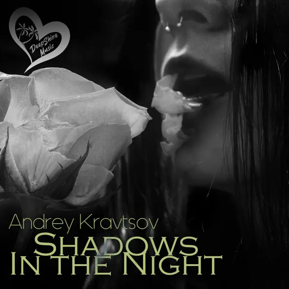 Песня Andrey Kravtsov - Shadows In The Night (Original Mix)