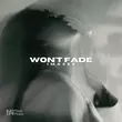 Песня Imazee - Won't Fade (Original Mix)