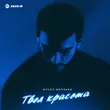 Песня Вусал Мирзаев - Твоя Красота