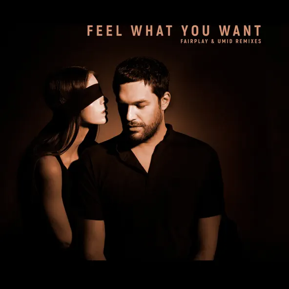 Песня Phonique & Rebecca - Feel What You Want (Fairplay Remix)