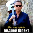 Песня Андрей Шпехт - Ты Моя Судьба