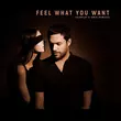 Песня Phonique & Rebecca - Feel What You Want (Fairplay Remix)