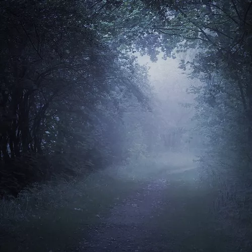 Песня Misty - Тёмная Ночь