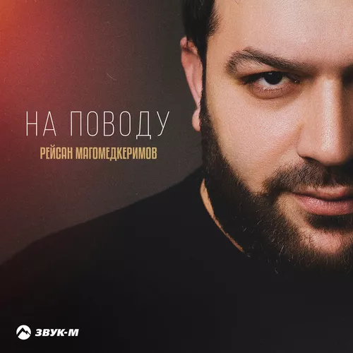 Песня Рейсан Магомедкеримов - На Поводу