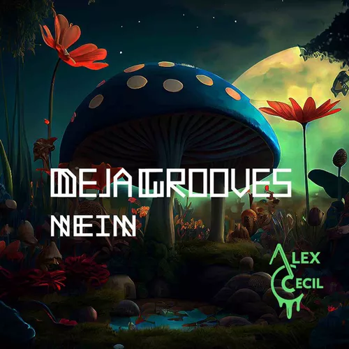 Песня Alex Cecil - Deja Grooves (Original Mix)