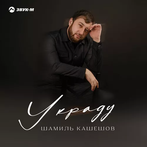 Песня Шамиль Кашешов - Украду
